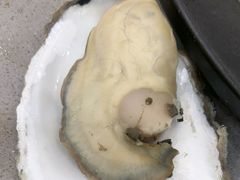 -仙螺岛海鲜自助餐厅(总店)