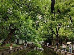 -西园戒幢律寺