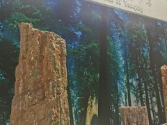 -延庆地质公园博物馆