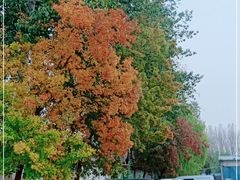 -京北车辆管理所-停车场