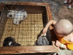 -酷嗒动物文化乐园(cutezoo西溪乐天城店)