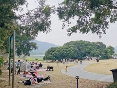 -风云岭森林公园