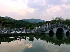 -大屏嶂森林公园