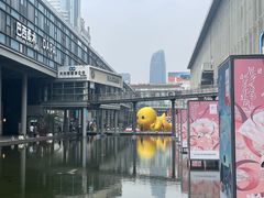 -新盈光·旗舰店(海曙苍松路店)