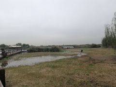-西青郊野公园