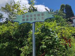 -江西阳明山国家森林公园