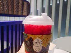 -野萃山·潮汕厚果汁(十亩地店)