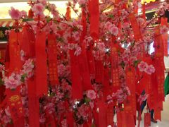 -水晶之星洗浴温泉汗蒸