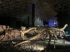 -世界恐龙谷景区