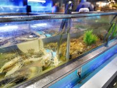 -V-ONE西雅图海鲜自助餐厅(仓山万达广场店)