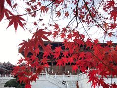 -牛首山文化旅游区