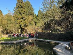 -庐山风景区花径公园