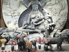-西双版纳原始森林公园