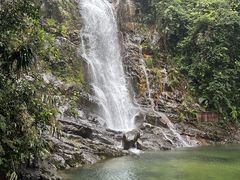 -鼎湖山风景区