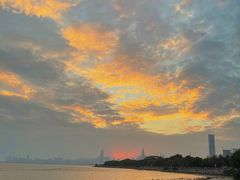 -深圳湾公园(南山区)