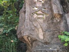 -深圳野生动物园