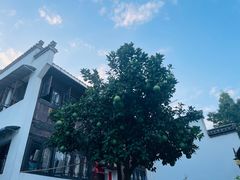 -渔梁坝