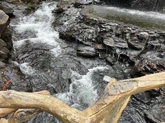 -凤凰山国家森林公园