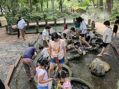 -成都市活水公园