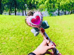 -长白岛森林公园