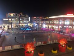 -城南老友羊蝎子火锅(花乡奥莱店)