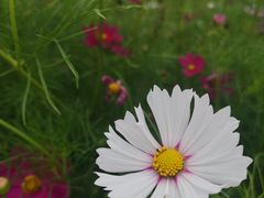 -汇泉广场