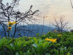 -铁山坪森林公园