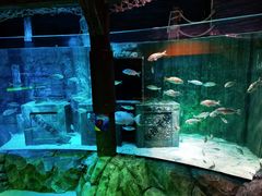 -沈阳海洋探索中心