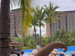 -亚马逊丛林水乐园