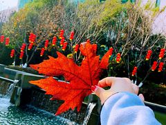 -太阳岛度假酒店