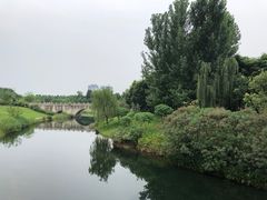 -眉山湿地公园(东坡区)