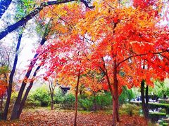 -长春市南湖公园