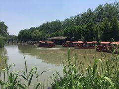 -溱湖国家湿地公园