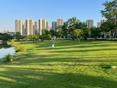 -华侨城湿地公园