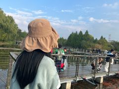 -昆山城市生态森林公园