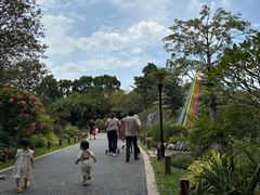 -东莞植物园