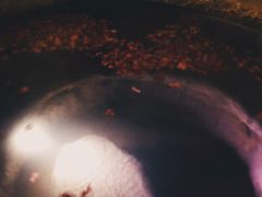 -西安华清御汤酒店