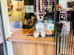 -小尾巴宠物店(万科·金域华庭店)