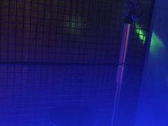 -唱吧麦颂KTV(高新店)