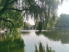 -北陵公园