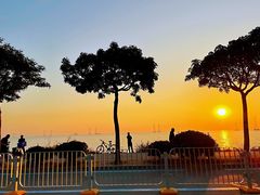 -宝安西湾红树林湿地公园