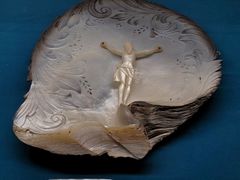 -青岛贝壳博物馆