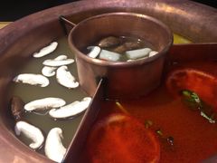 菌王奇香锅-老诚一锅羊蝎子(黄寺大街店)