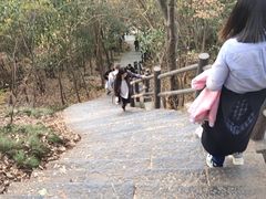-紫金山山顶公园