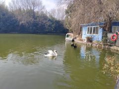 -合肥野生动物园