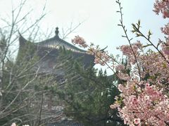 -堤角公园