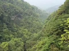 -碧峰峡风景区