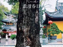 -龙华寺