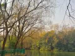 -黄兴公园