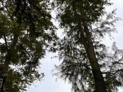 -鸡鸣寺